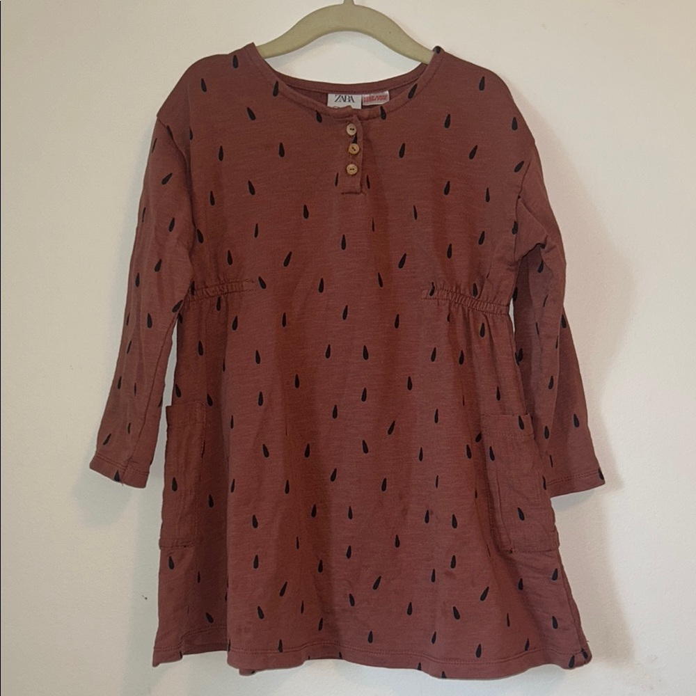 Zara Mauve Brown Polka Dot Button-Up Dress